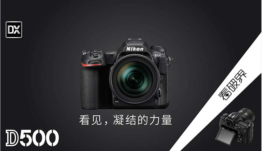 尼康映像仪器销售（中国）有限公司