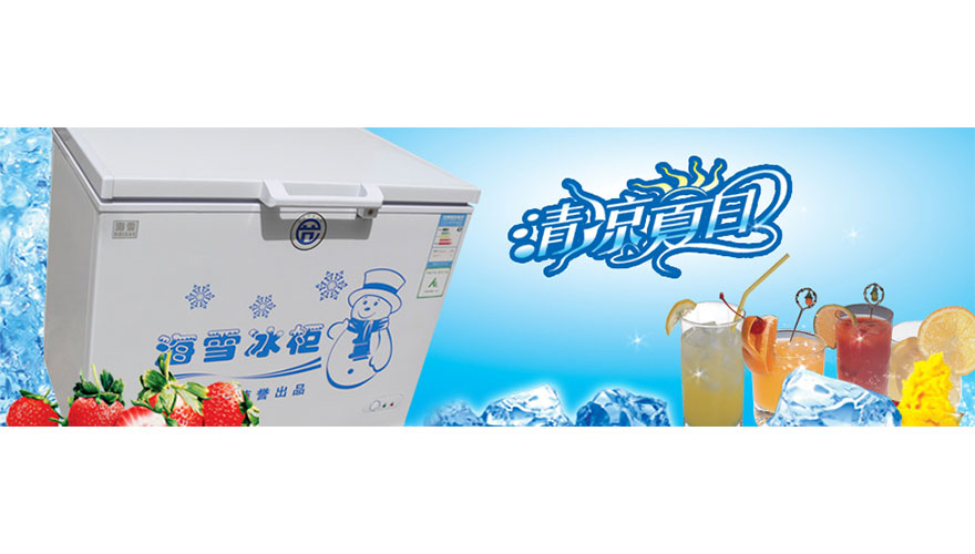 济南小鸭家用冷冻设备有限公司