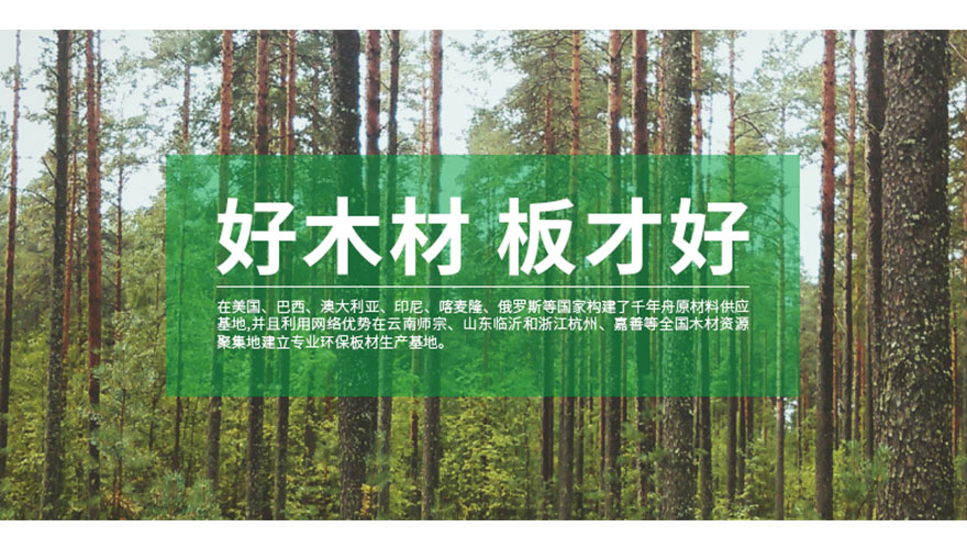 杭州华海木业有限公司