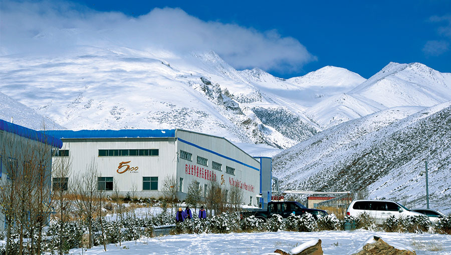 西藏冰川矿泉水有限公司
