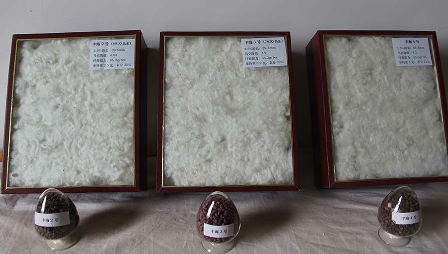 新疆鲁泰丰收棉业有限责任公司