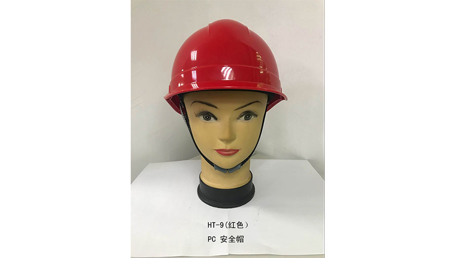 上海海棠头盔厂
