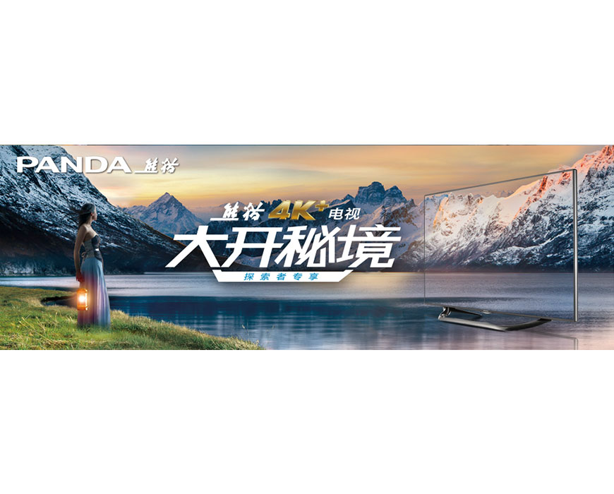 【江苏省】南京中电熊猫家电有限公司--2015年